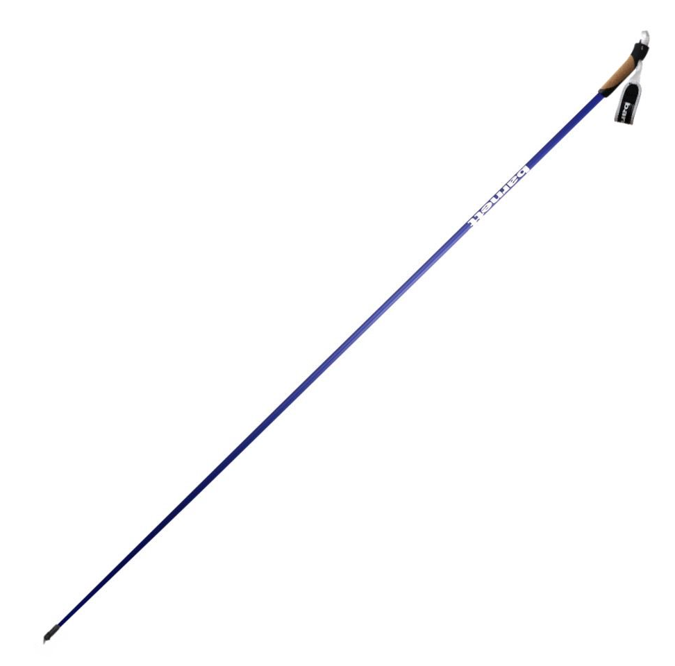 XC-09 Carbon ski poles for Nordic and Roller Skiing, Navy